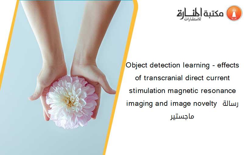 Object detection learning - effects of transcranial direct current stimulation magnetic resonance imaging and image novelty رسالة ماجستير