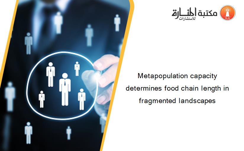 Metapopulation capacity determines food chain length in fragmented landscapes