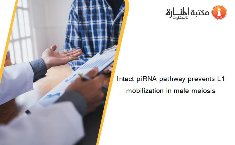 Intact piRNA pathway prevents L1 mobilization in male meiosis