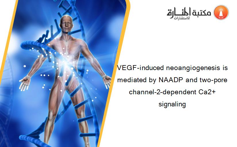 VEGF-induced neoangiogenesis is mediated by NAADP and two-pore channel-2–dependent Ca2+ signaling