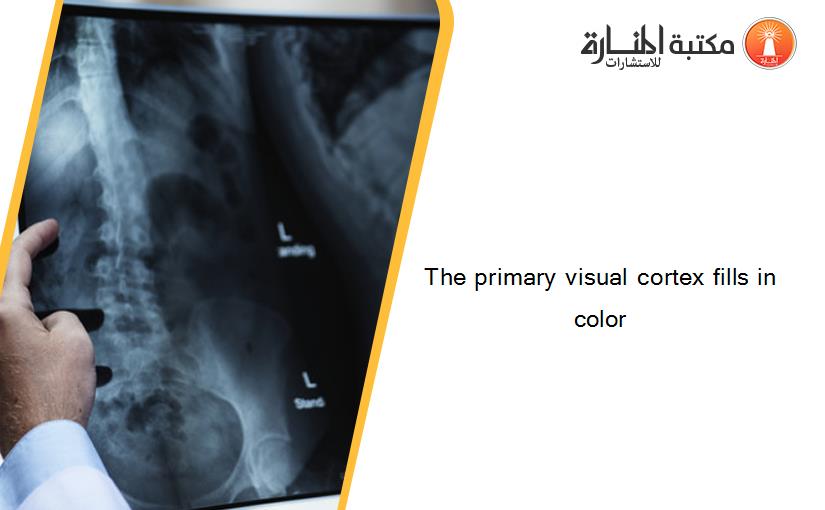 The primary visual cortex fills in color