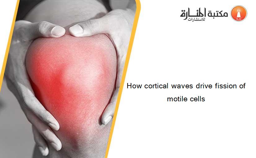 How cortical waves drive fission of motile cells