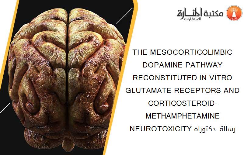 THE MESOCORTICOLIMBIC DOPAMINE PATHWAY RECONSTITUTED IN VITRO GLUTAMATE RECEPTORS AND CORTICOSTEROID-METHAMPHETAMINE NEUROTOXICITY رسالة دكتوراه