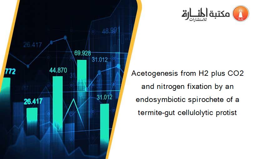 Acetogenesis from H2 plus CO2 and nitrogen fixation by an endosymbiotic spirochete of a termite-gut cellulolytic protist