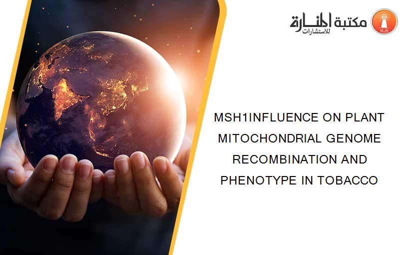 MSH1INFLUENCE ON PLANT MITOCHONDRIAL GENOME RECOMBINATION AND PHENOTYPE IN TOBACCO