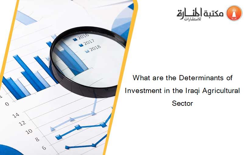 What are the Determinants of Investment in the Iraqi Agricultural Sector