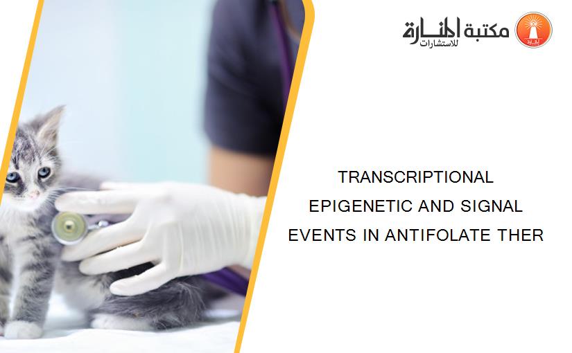 TRANSCRIPTIONAL EPIGENETIC AND SIGNAL EVENTS IN ANTIFOLATE THER