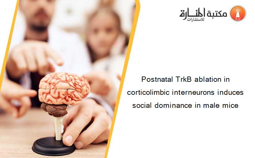 Postnatal TrkB ablation in corticolimbic interneurons induces social dominance in male mice