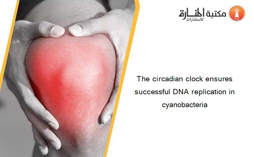 The circadian clock ensures successful DNA replication in cyanobacteria