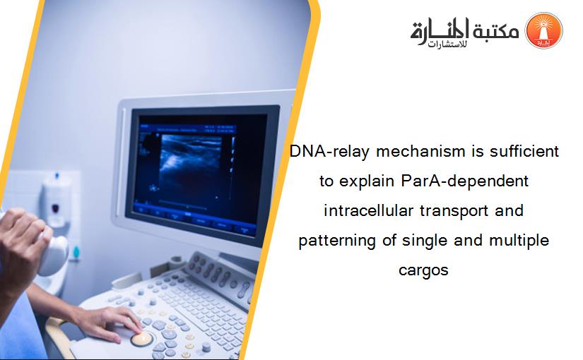 DNA-relay mechanism is sufficient to explain ParA-dependent intracellular transport and patterning of single and multiple cargos