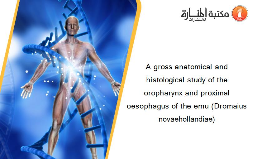 A gross anatomical and histological study of the oropharynx and proximal oesophagus of the emu (Dromaius novaehollandiae)