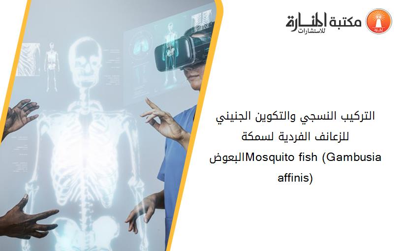 التركيب النسجي والتكوين الجنيني للزعانف الفردية لسمكة البعوضMosquito fish (Gambusia affinis)