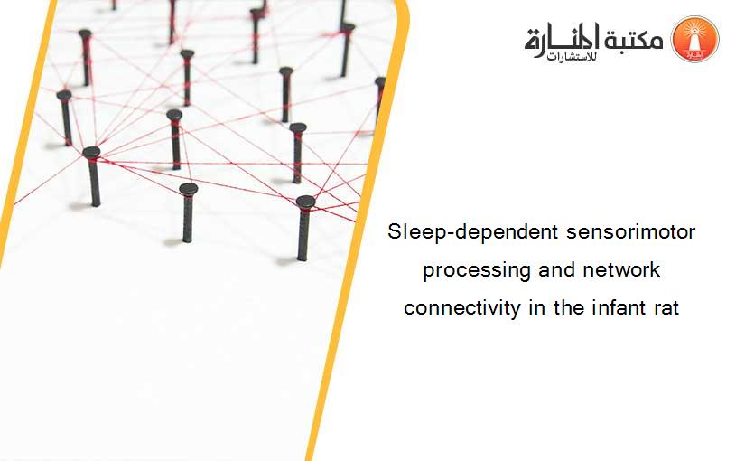 Sleep-dependent sensorimotor processing and network connectivity in the infant rat