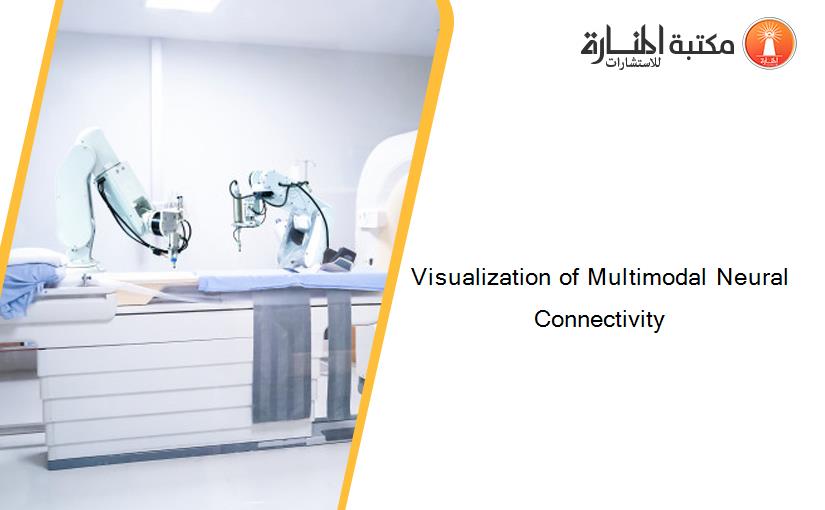 Visualization of Multimodal Neural Connectivity