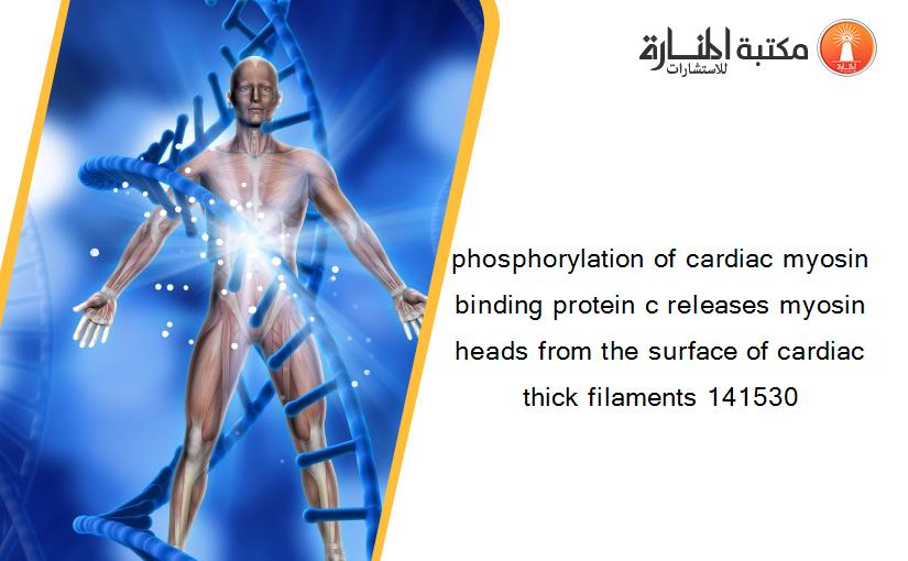 phosphorylation of cardiac myosin binding protein c releases myosin heads from the surface of cardiac thick filaments 141530