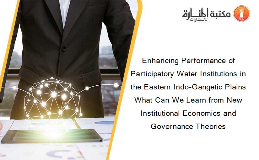Enhancing Performance of Participatory Water Institutions in the Eastern Indo-Gangetic Plains What Can We Learn from New Institutional Economics and Governance Theories