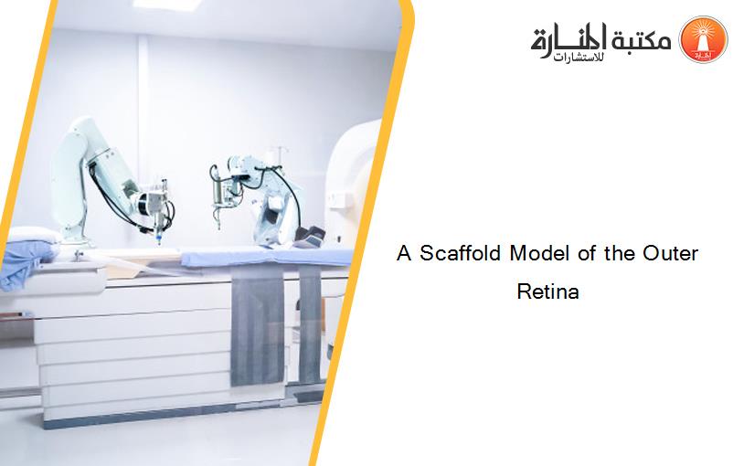 A Scaffold Model of the Outer Retina