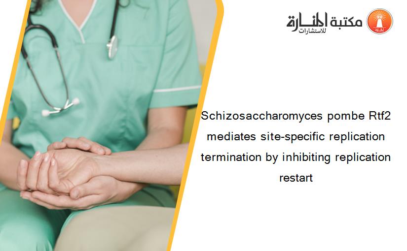 Schizosaccharomyces pombe Rtf2 mediates site-specific replication termination by inhibiting replication restart