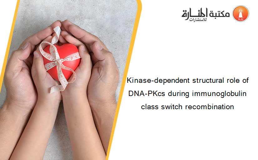 Kinase-dependent structural role of DNA-PKcs during immunoglobulin class switch recombination