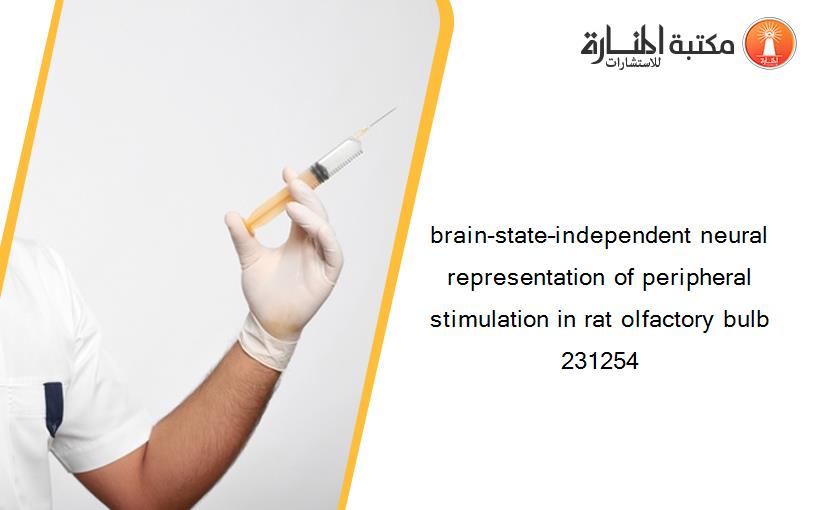 brain-state–independent neural representation of peripheral stimulation in rat olfactory bulb 231254