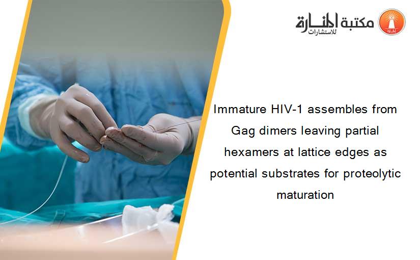 Immature HIV-1 assembles from Gag dimers leaving partial hexamers at lattice edges as potential substrates for proteolytic maturation