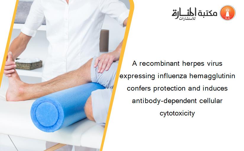 A recombinant herpes virus expressing influenza hemagglutinin confers protection and induces antibody-dependent cellular cytotoxicity