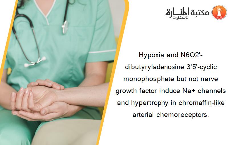 Hypoxia and N6O2'-dibutyryladenosine 3'5'-cyclic monophosphate but not nerve growth factor induce Na+ channels and hypertrophy in chromaffin-like arterial chemoreceptors.