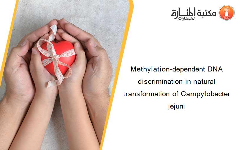 Methylation-dependent DNA discrimination in natural transformation of Campylobacter jejuni