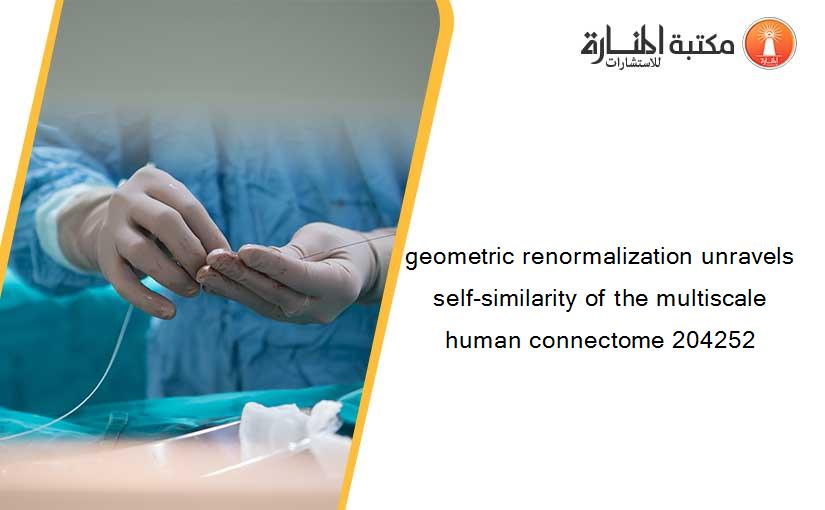 geometric renormalization unravels self-similarity of the multiscale human connectome 204252