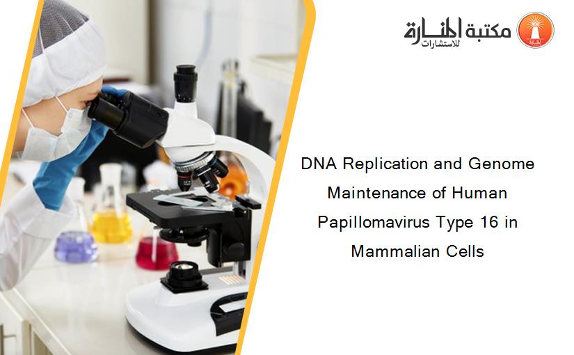 DNA Replication and Genome Maintenance of Human Papillomavirus Type 16 in Mammalian Cells