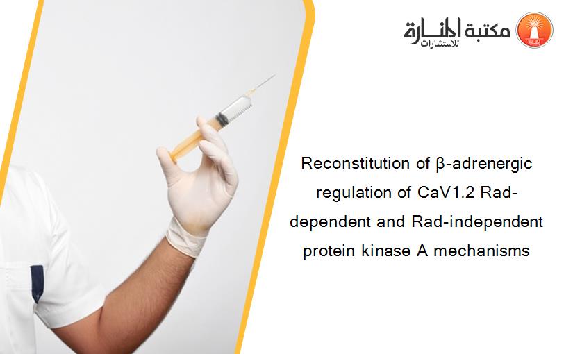 Reconstitution of β-adrenergic regulation of CaV1.2 Rad-dependent and Rad-independent protein kinase A mechanisms