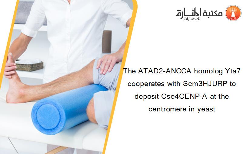 The ATAD2-ANCCA homolog Yta7 cooperates with Scm3HJURP to deposit Cse4CENP-A at the centromere in yeast