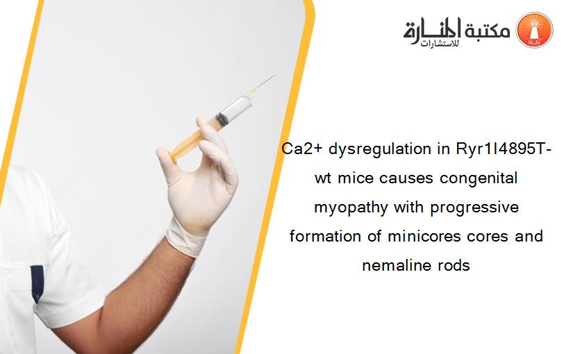 Ca2+ dysregulation in Ryr1I4895T-wt mice causes congenital myopathy with progressive formation of minicores cores and nemaline rods