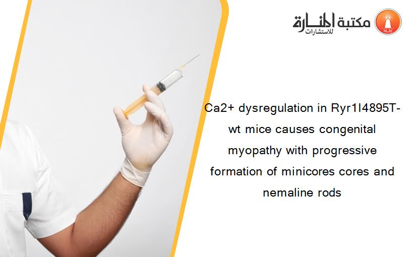 Ca2+ dysregulation in Ryr1I4895T-wt mice causes congenital myopathy with progressive formation of minicores cores and nemaline rods