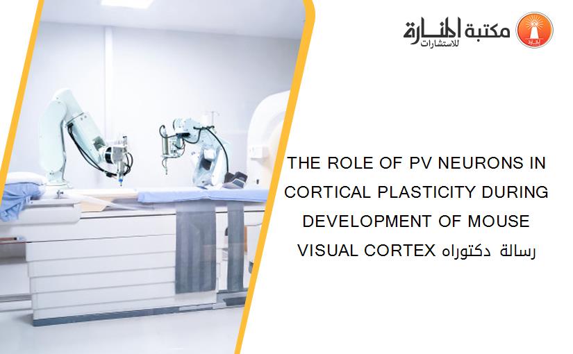 THE ROLE OF PV NEURONS IN CORTICAL PLASTICITY DURING DEVELOPMENT OF MOUSE VISUAL CORTEX رسالة دكتوراه