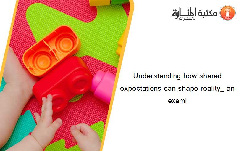 Understanding how shared expectations can shape reality_ an exami