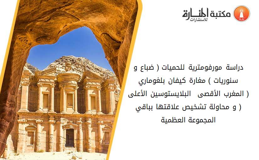 دراسة مورفومترية للحميات ( ضباع و سنوريات ) مغارة كيفان بلغوماري ( المغرب الأقصى - البلايستوسين الأعلى ( و محاولة تشخيص علاقتها بباقي المجموعة العظمية