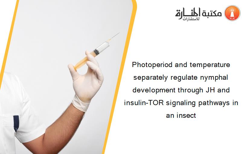 Photoperiod and temperature separately regulate nymphal development through JH and insulin-TOR signaling pathways in an insect
