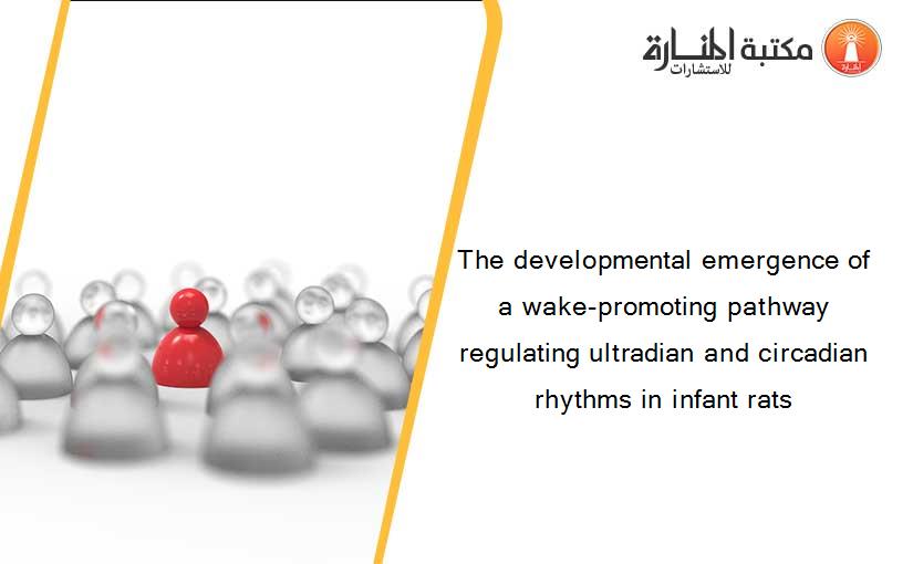 The developmental emergence of a wake-promoting pathway regulating ultradian and circadian rhythms in infant rats