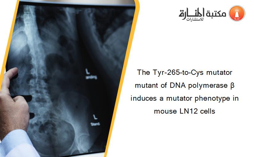 The Tyr-265-to-Cys mutator mutant of DNA polymerase β induces a mutator phenotype in mouse LN12 cells