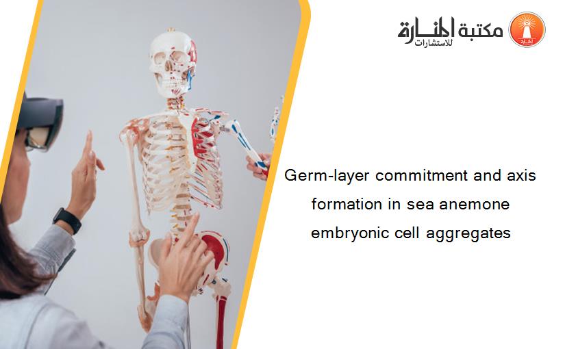 Germ-layer commitment and axis formation in sea anemone embryonic cell aggregates