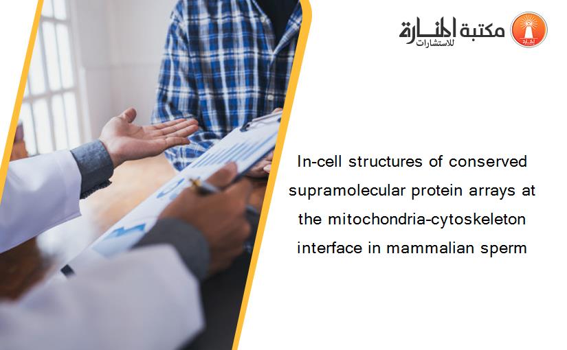 In-cell structures of conserved supramolecular protein arrays at the mitochondria–cytoskeleton interface in mammalian sperm