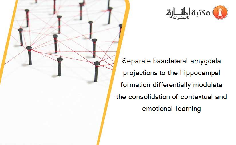 Separate basolateral amygdala projections to the hippocampal formation differentially modulate the consolidation of contextual and emotional learning