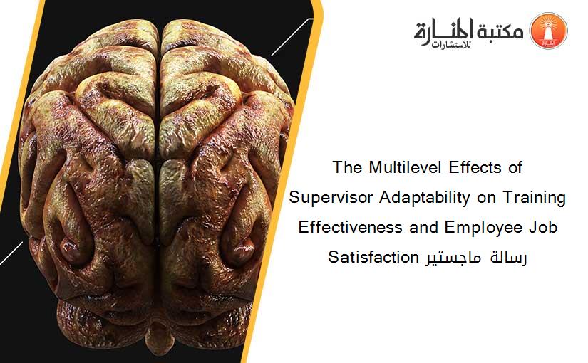 The Multilevel Effects of Supervisor Adaptability on Training Effectiveness and Employee Job Satisfaction رسالة ماجستير
