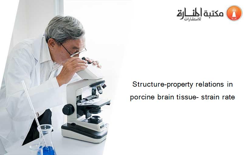 Structure-property relations in porcine brain tissue- strain rate