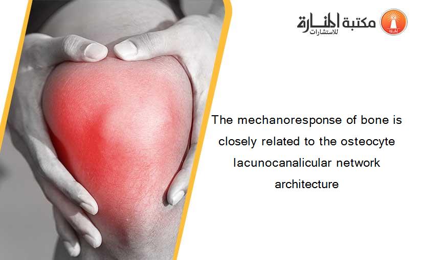 The mechanoresponse of bone is closely related to the osteocyte lacunocanalicular network architecture
