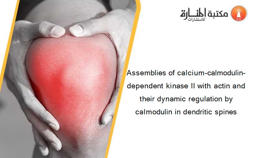 Assemblies of calcium-calmodulin-dependent kinase II with actin and their dynamic regulation by calmodulin in dendritic spines