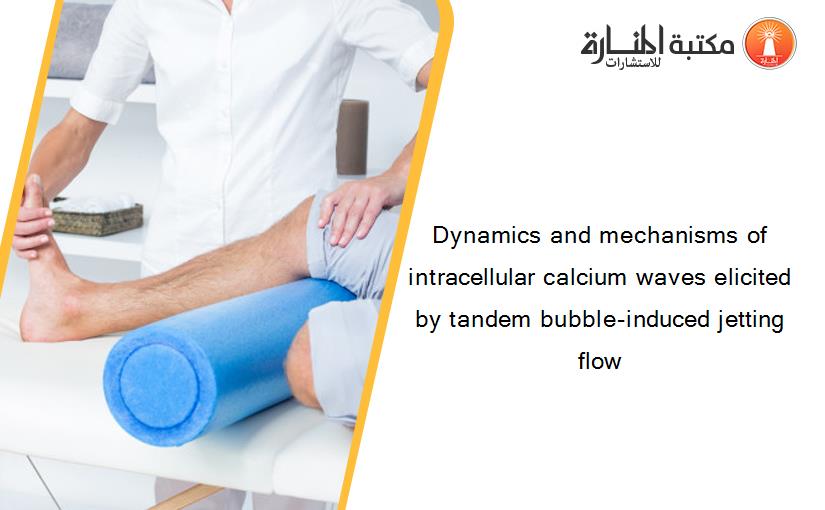 Dynamics and mechanisms of intracellular calcium waves elicited by tandem bubble-induced jetting flow