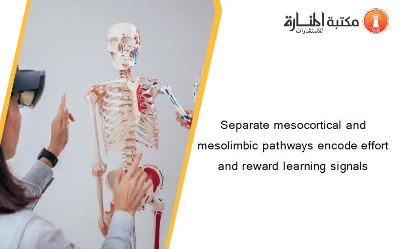 Separate mesocortical and mesolimbic pathways encode effort and reward learning signals