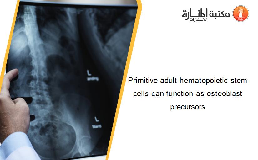 Primitive adult hematopoietic stem cells can function as osteoblast precursors